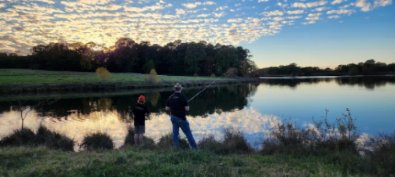 Wagyu~X ranch landscape